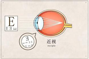 半岛官网入口网页版截图2